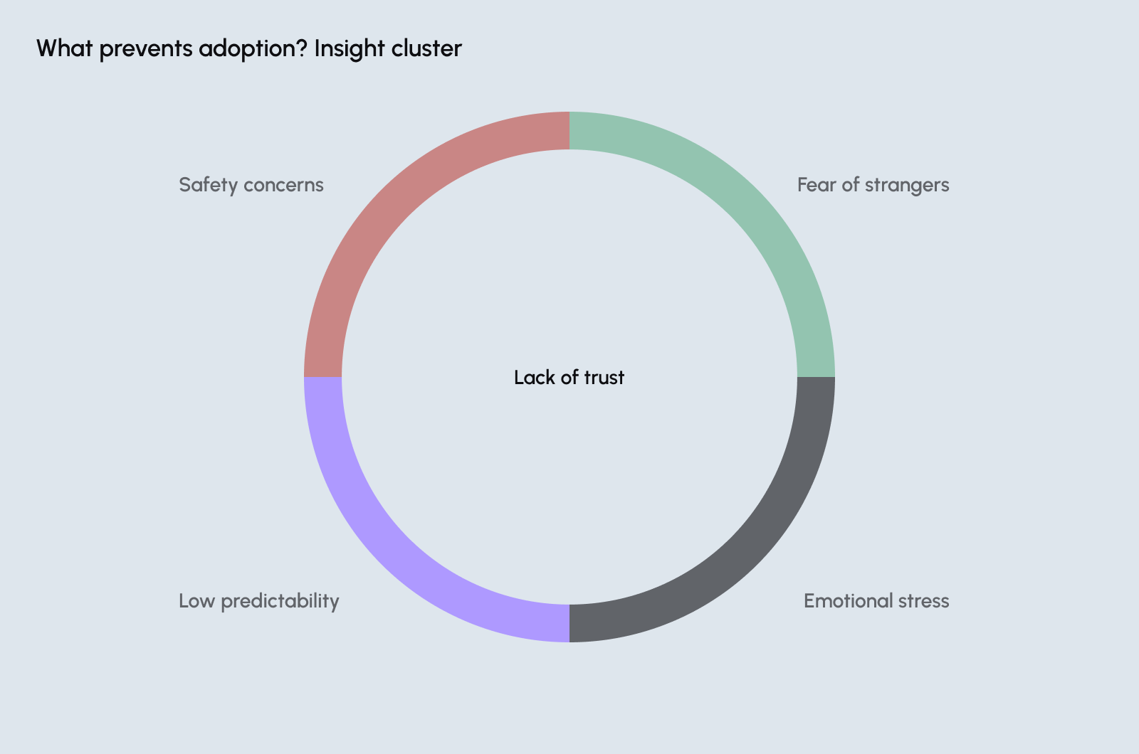 Insight cluster: safety concerns, fear of strangers, emotional stress and low predictability around a lack of trust
