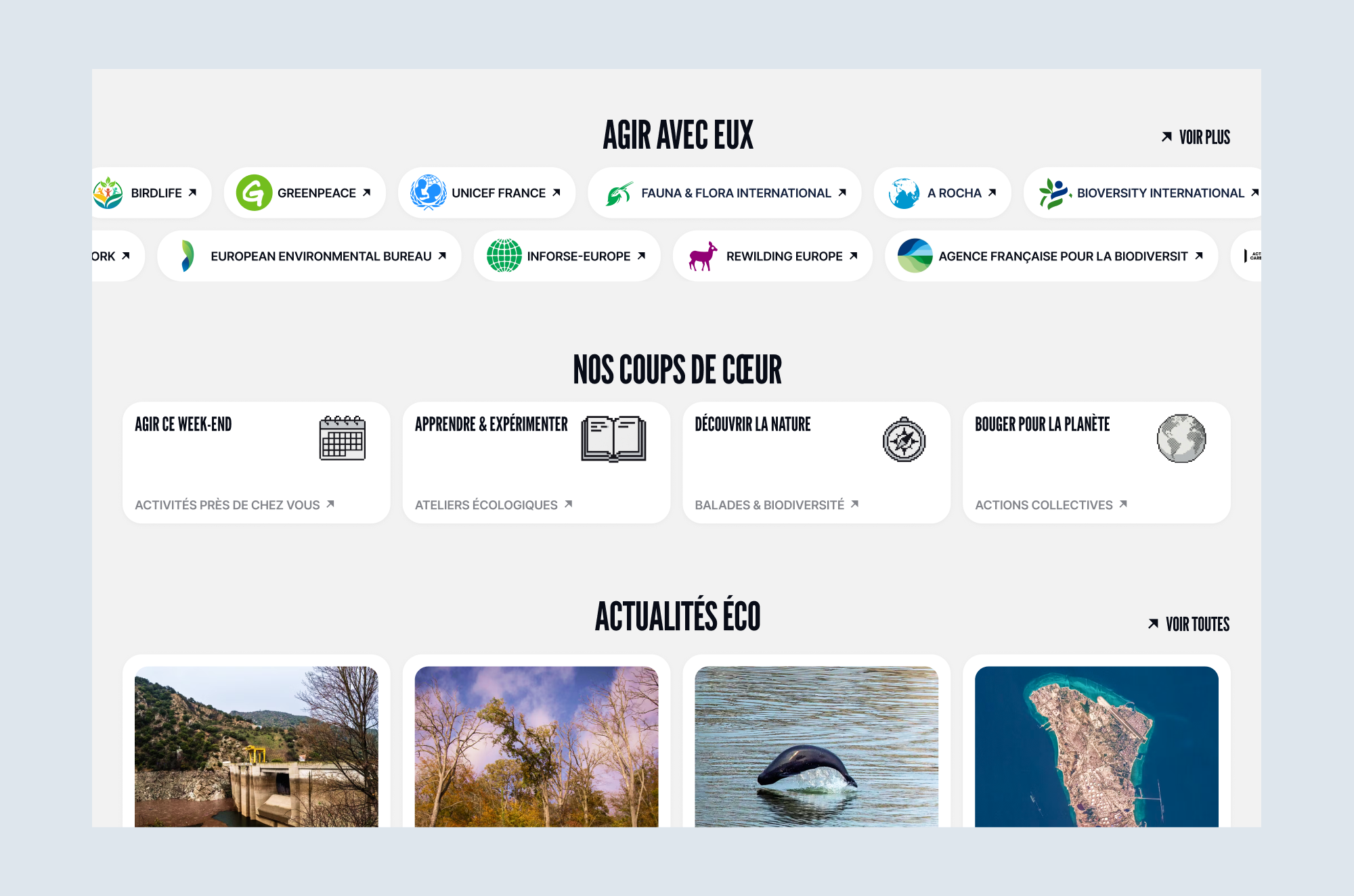 Curated collections and partners keep the experience full even with little content.